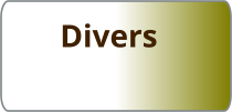 Divers