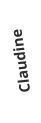 Claudine