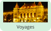 Voyages