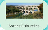 Sorties Culturelles