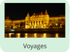 Voyages