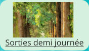 Sorties demi journée
